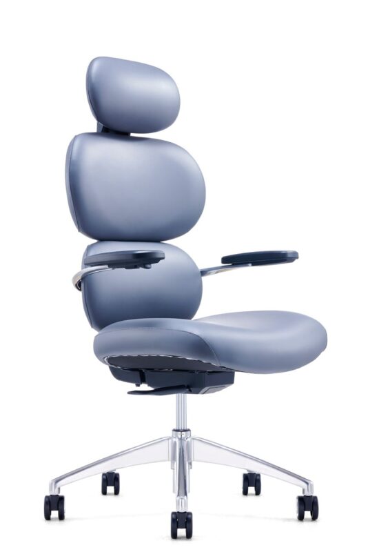 כסא מנהל המשדר חדשנות 