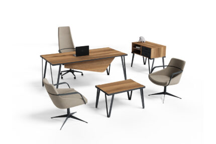 עמדת עבודה דגם CANVAS