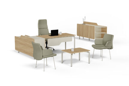 עמדת עבודה דגם EVO